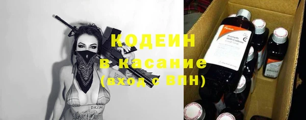 индика Верея
