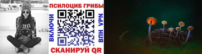 Галлюциногенные грибы Cubensis  Вольск 
